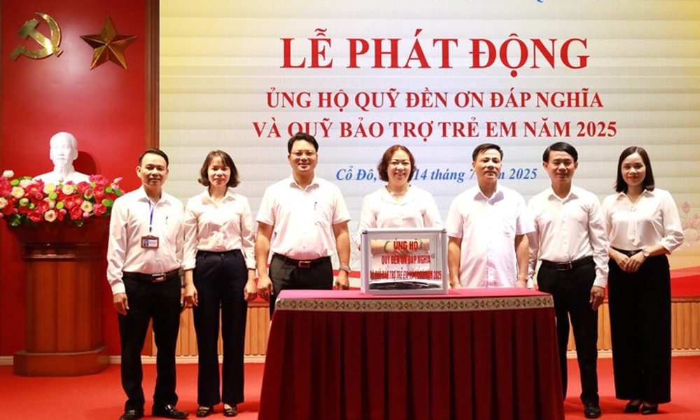  Hướng dẫn mới về tổ chức Quỹ Đền ơn đáp nghĩa theo chính quyền địa phương 2 cấp